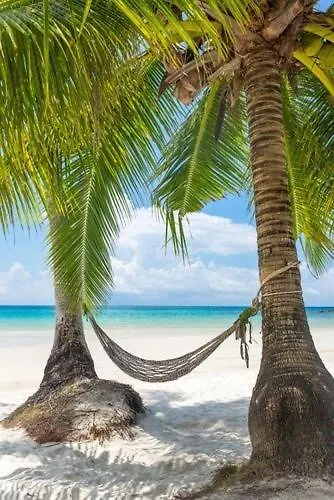 Apartment Welcome To Paradise Saint-Francois