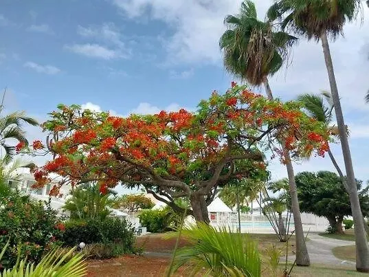 Welcome To Paradise Saint-Francois  0*, Saint-Francois (Grande-Terre) Guadeloupe